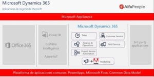 Why You Should Consider Implementing Dynamics 365 2