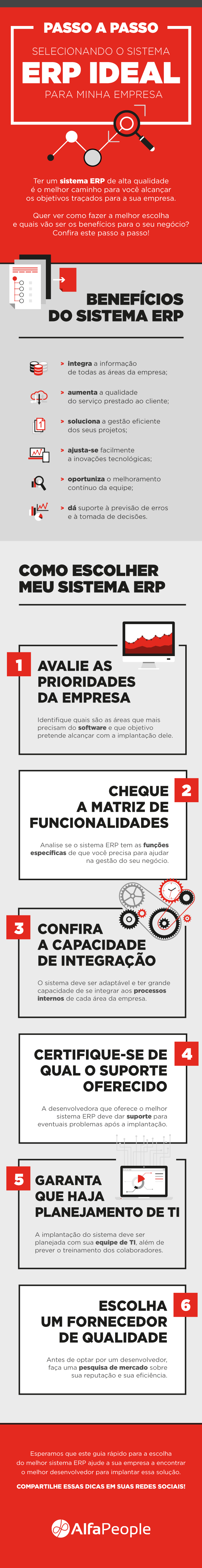 Infografico: Selecionando o Sistema ERP Ideal Para Minha Empresa