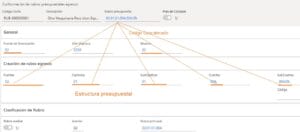 public budget module planning instrument expressed financial terms 2