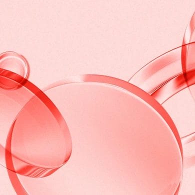 AP Website Slider 1 The Global Partner mobile AP Website Slider 1 The Global Partner mobile