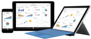 Alfapeople Power Bi Custom Service