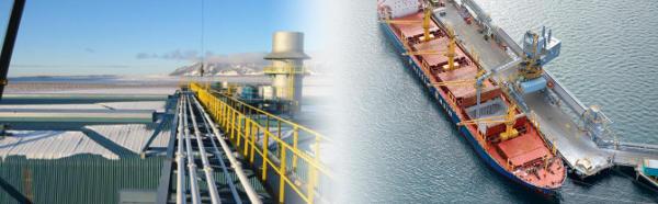 Referenzbericht von REEL Alesa