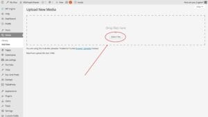 Ap Deal With Downloads02 810X455 1