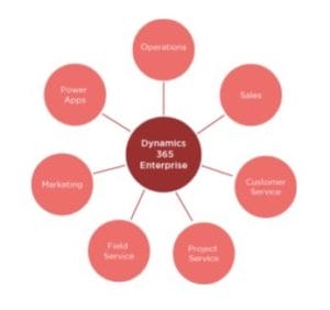 whitepaper dynamics 365 enterprise grafik