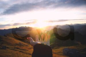 Healthcare Incident Investigation Workshop with Eva