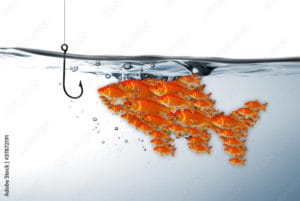 1000 F 37872191 Lzm6Sjdihwumfikqbdggkchlmnw80Dlc