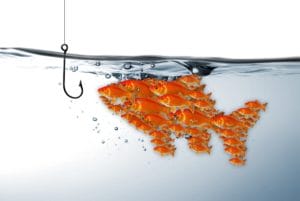 Junior Sales Consultant