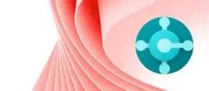 business central category