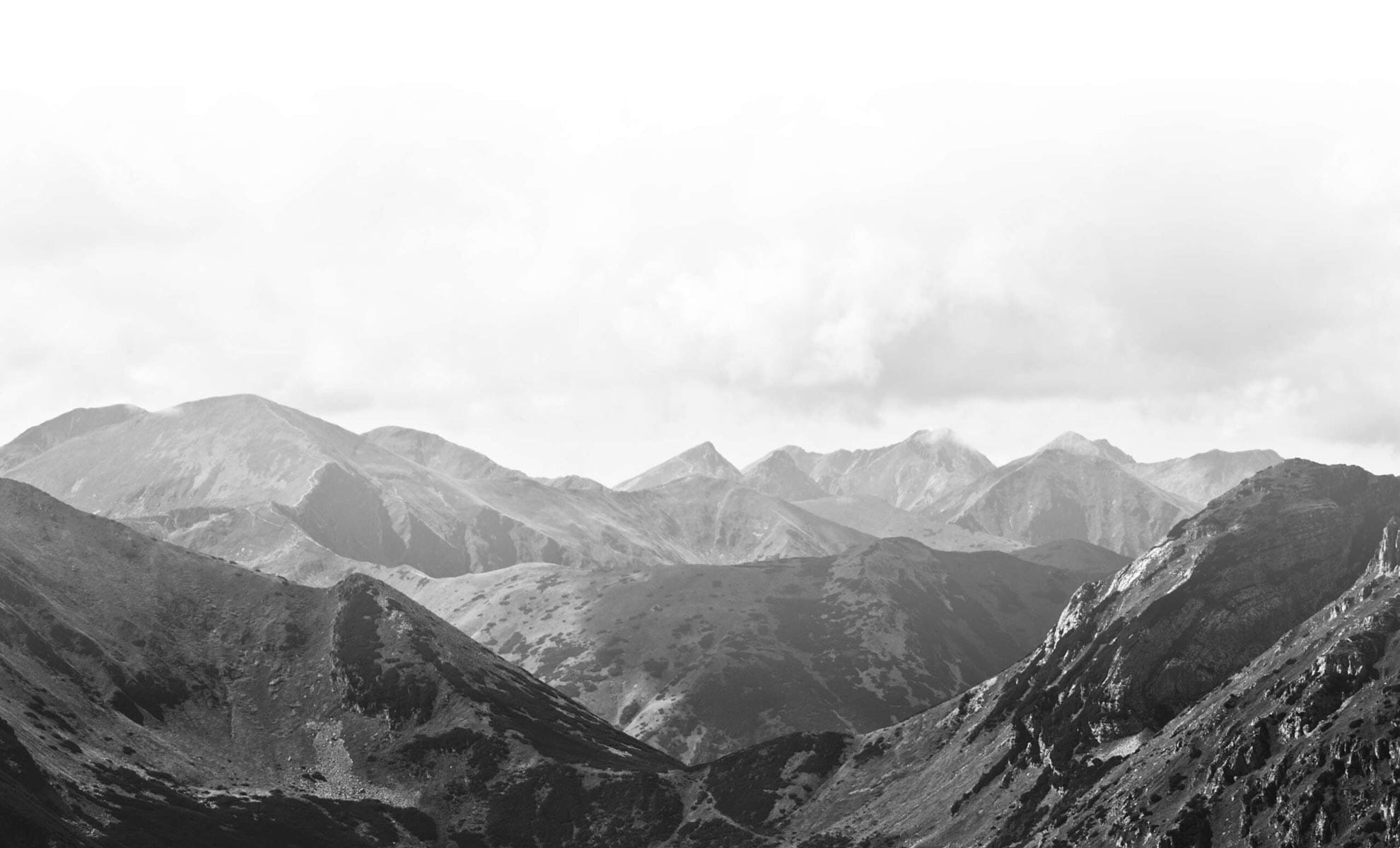 Why Choose AlfaPeople? Why Choose AlfaPeople?