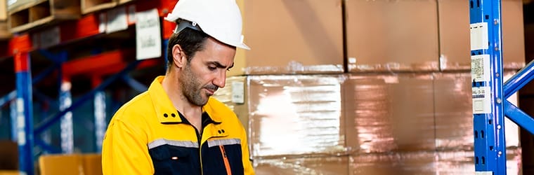 Ihr Inventar mit WMS Stand Alone optimieren