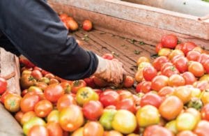 11 The Top 5 Challenges for Food and Beverage Distribution e1464618640218 1