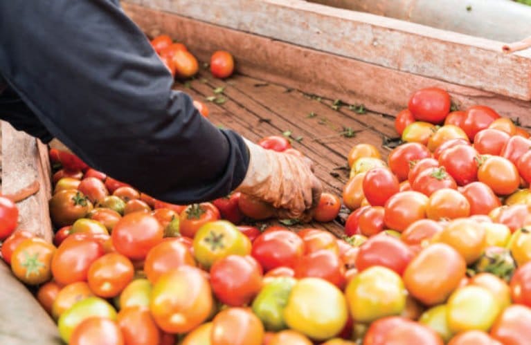 Top 5 udfordringer i fødevareindustrien – Microsoft Dynamics