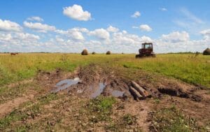 Corpoica chooses AlfaPeople as its ally regarding the technological change