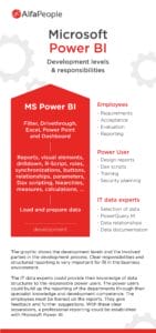 Infographic: Microsoft Power BI - Development Levels & Responsibilities