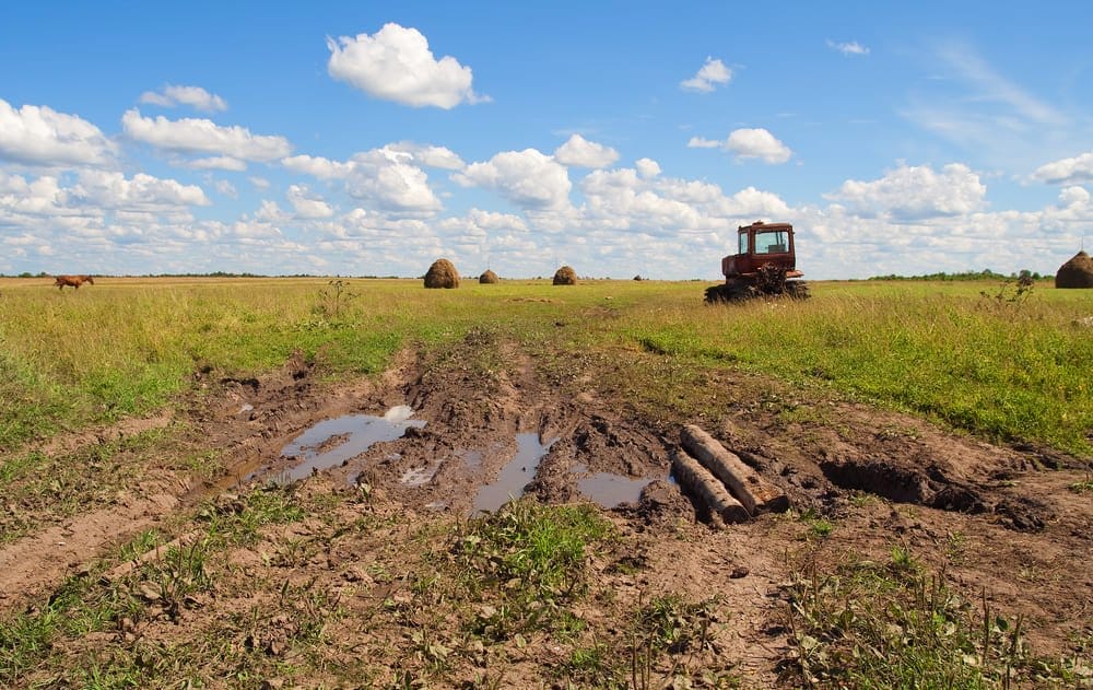Corpoica escoge a AlfaPeople como su aliado en el cambio tecnológico