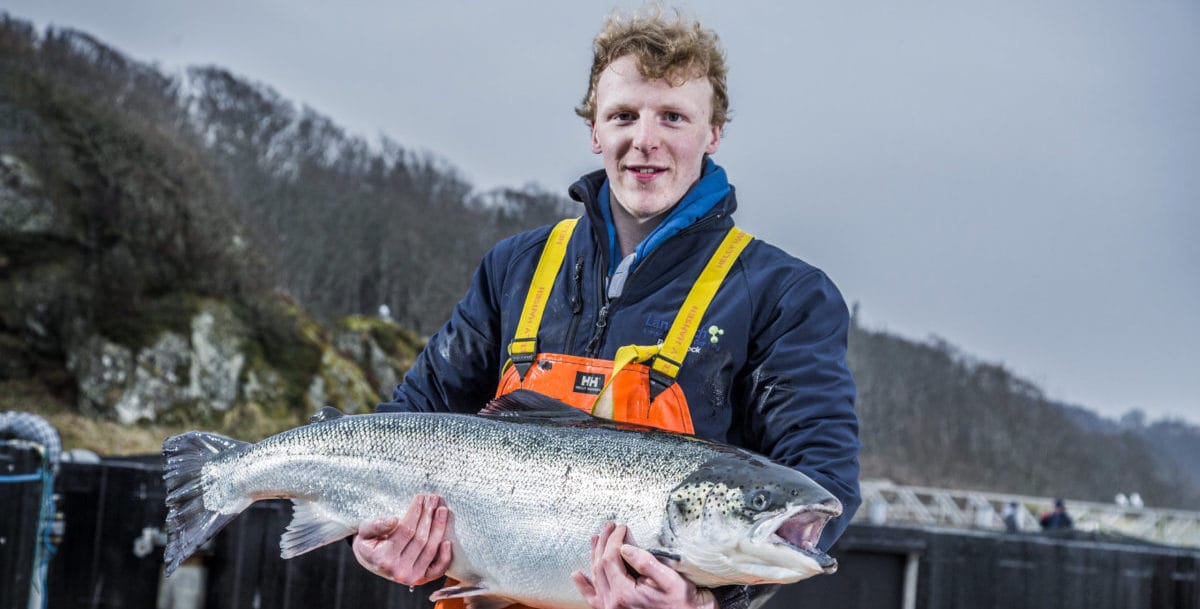 AlfaPeople realiza Roll Out de holandesa Hendrix Genetics en Ecuador