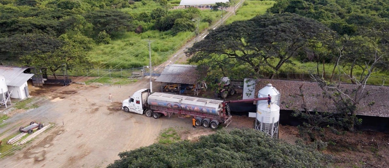 thumbnail Mochasa Foto