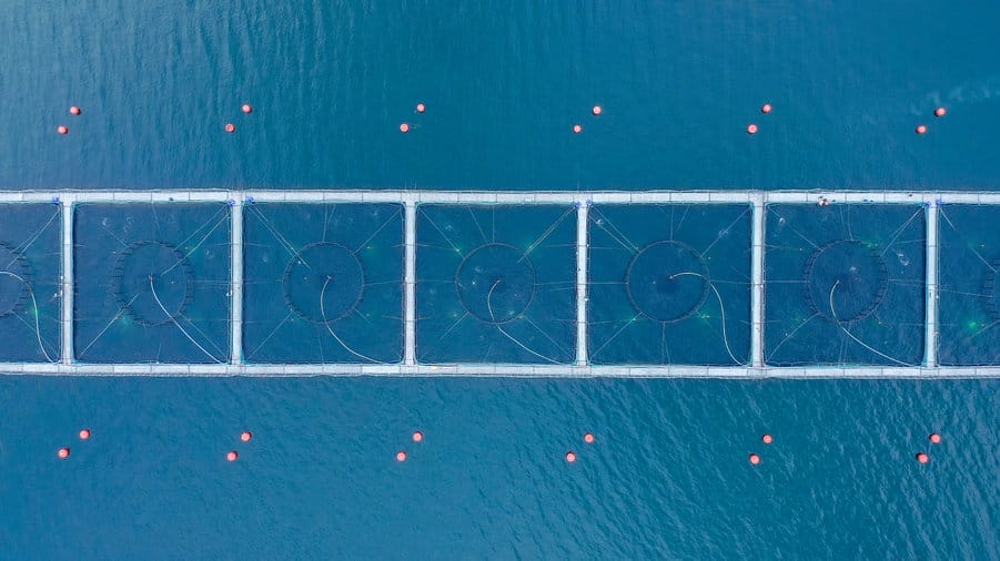 IA Predictiva sobre tu ERP