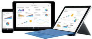 Alfapeople Power Bi Custom Service