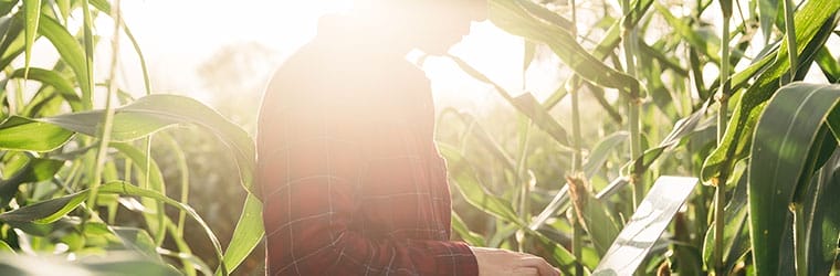 Alfapeople recognized by Microsoft as Partner of the Year for innovative RPA project