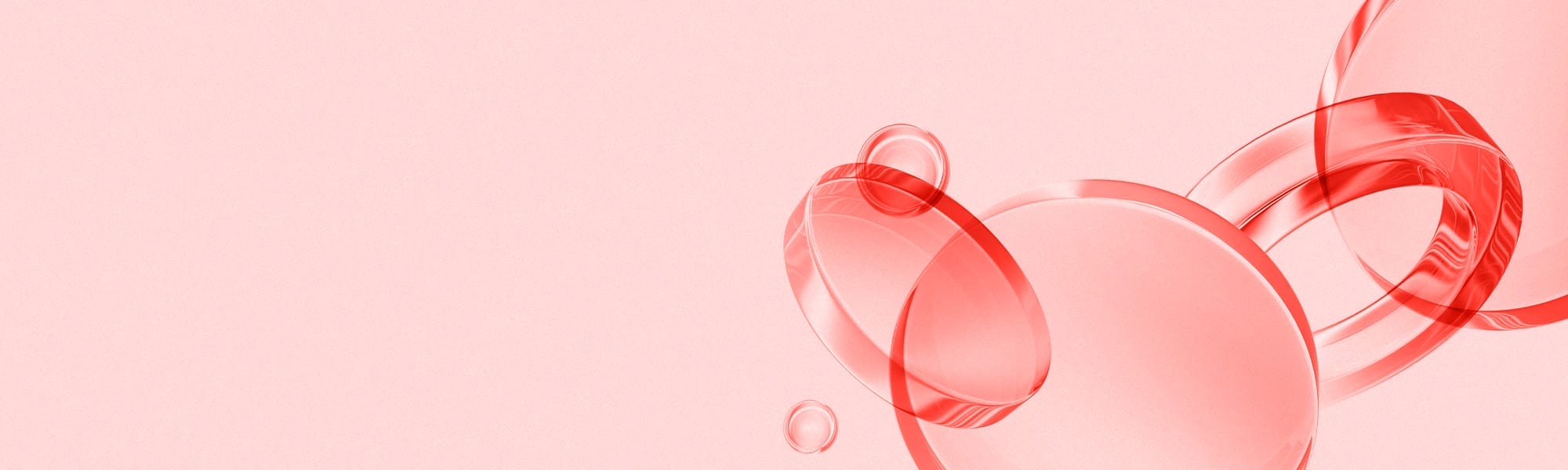 AP Website Sliders 1 The Global Partner 1