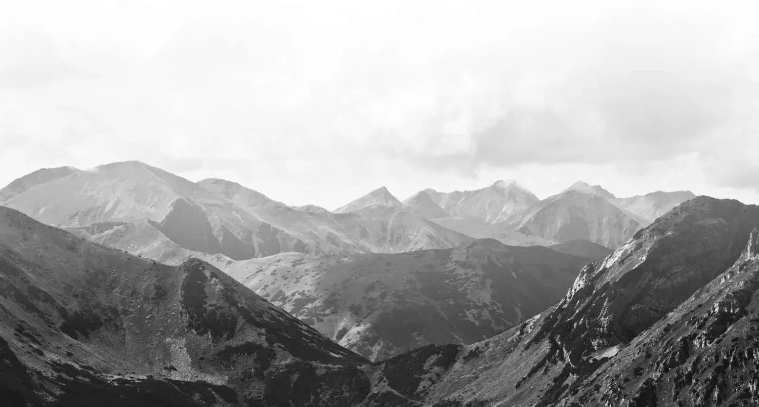 Why Choose AlfaPeople?